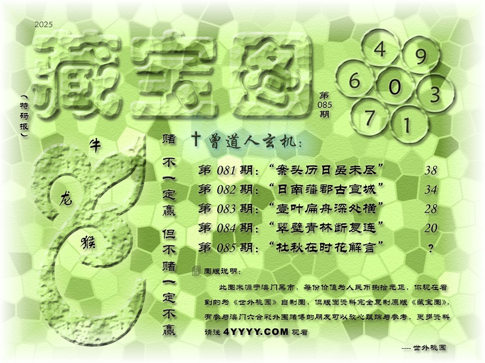 am9t8085.jpg