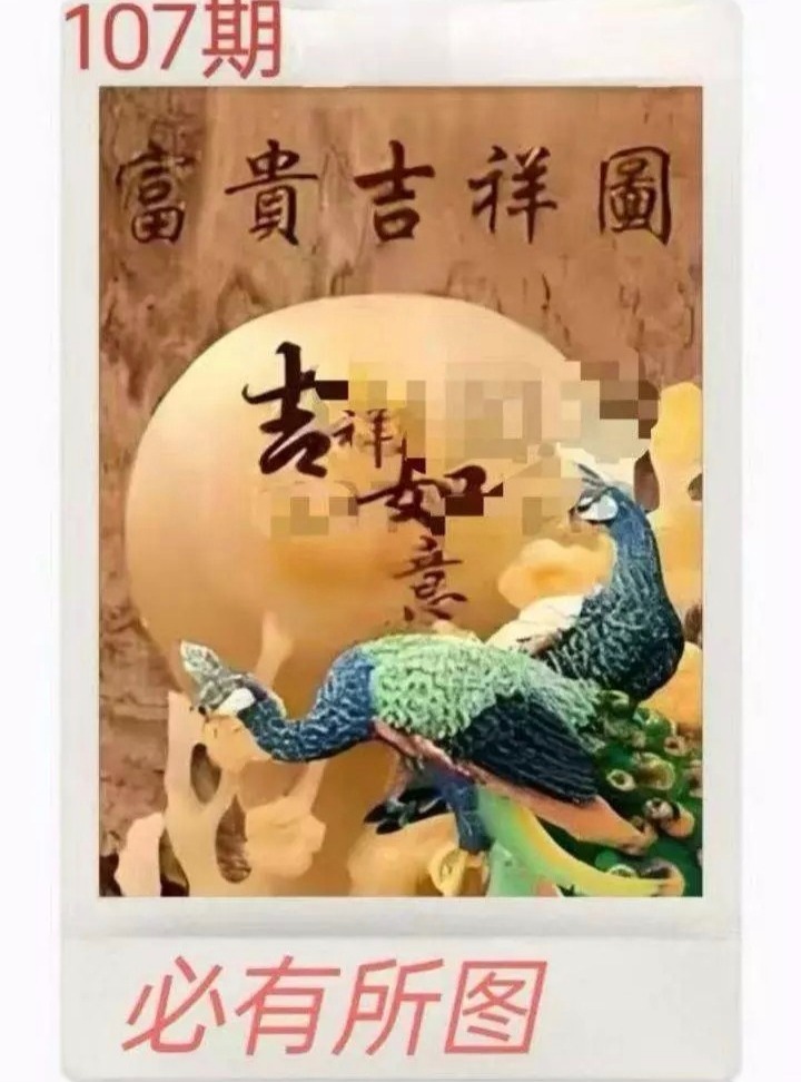 1000046313.jpg