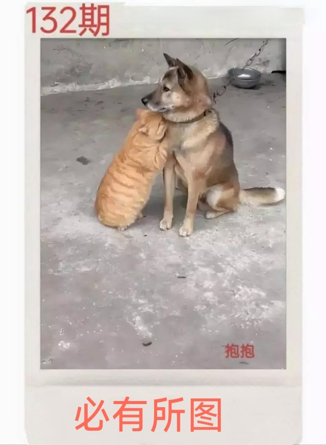 1000048744.jpg
