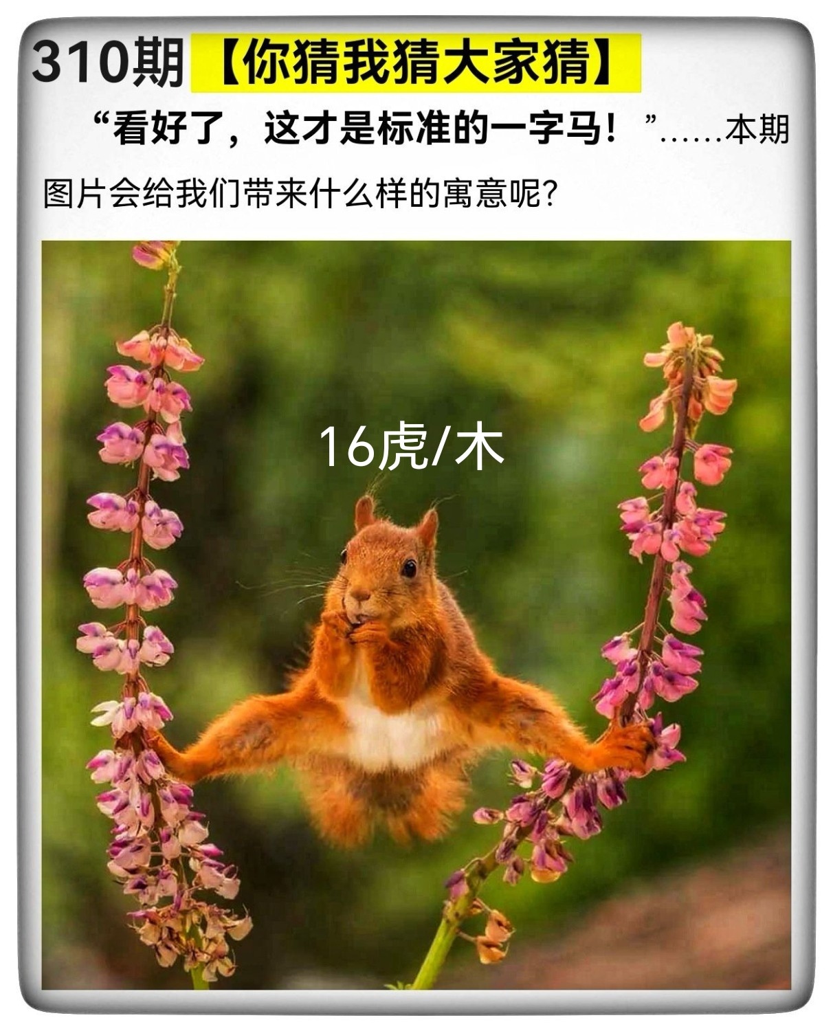 171810nftxiapfkmbf1ald_edit_988267702995138.jpg
