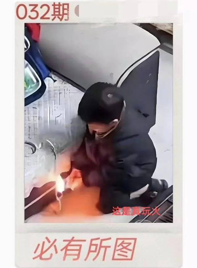 1000075549.jpg