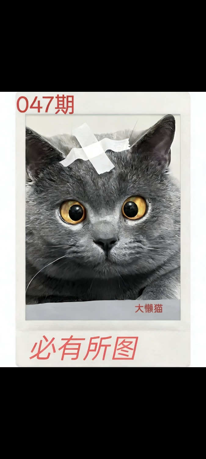Screenshot_2026-02-16-12-30-38-037_com.miui.gallery.jpg