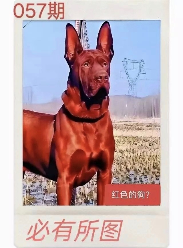 1000077719.jpg