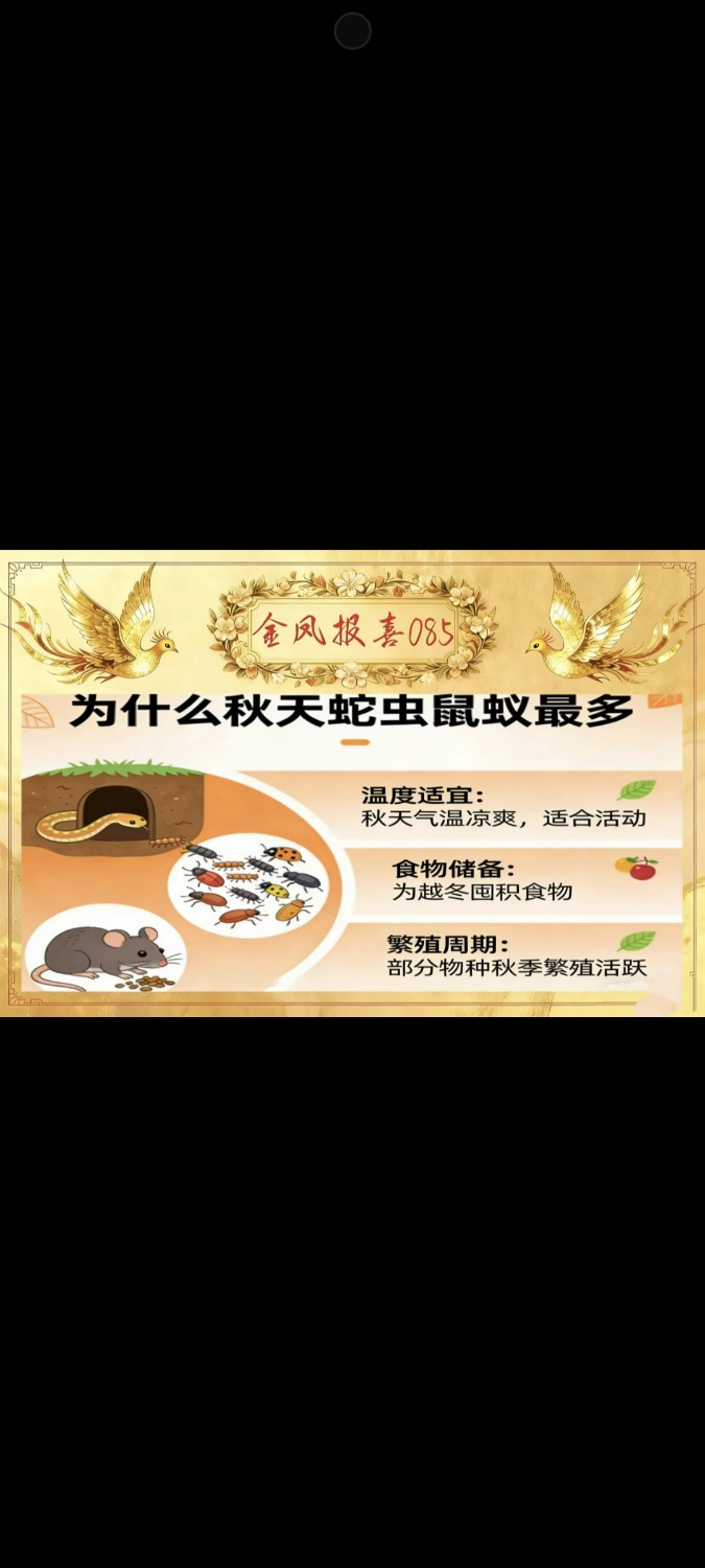 Screenshot_2026-03-26-19-15-51-972_com.miui.gallery.jpg